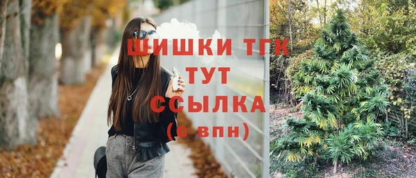 тгк Бородино