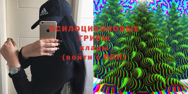 тгк Бородино
