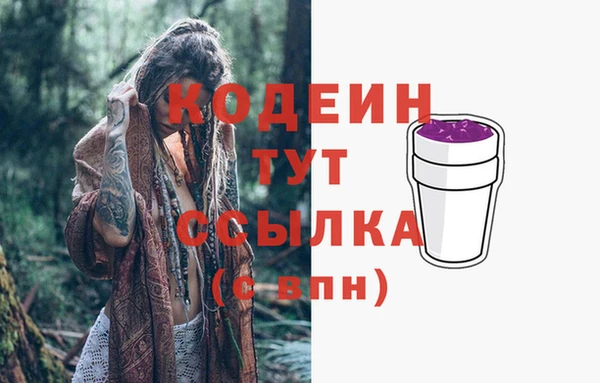 тгк Бородино