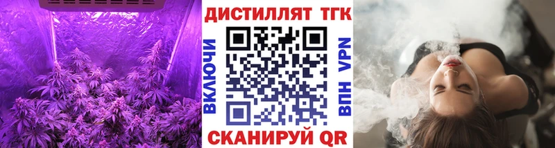 цена   Касли  ТГК концентрат 