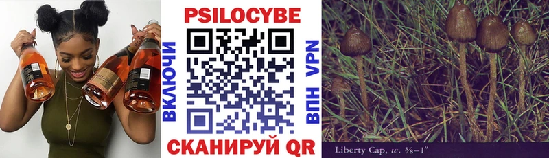 блэк спрут как войти  купить наркотики цена  Касли  Галлюциногенные грибы мицелий 